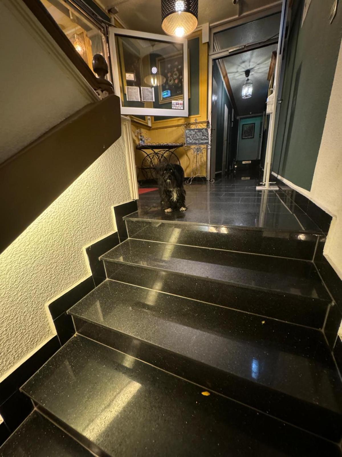 Hotel Drei Kronen Dortmund Exteriör bild